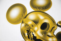 Nest - Xray gold print details