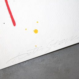 PETER STARK - Skull print details